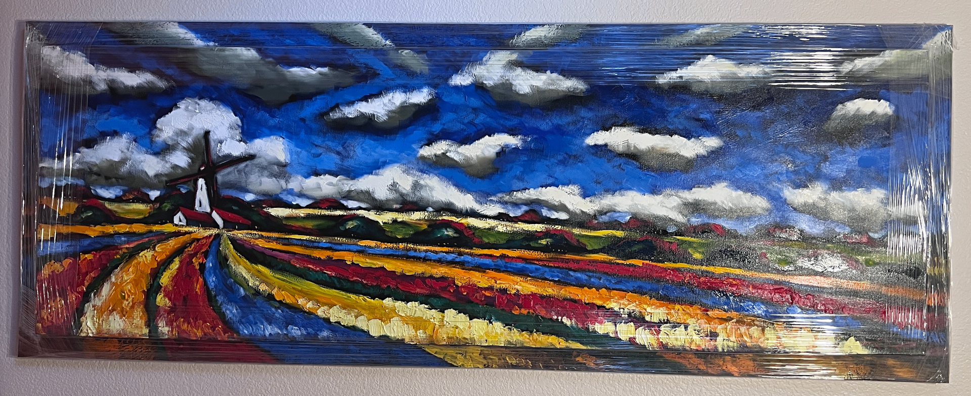 Colored Fields